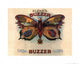 Klene's Buzzer Cigars Butterfly Poster Print - 20x16