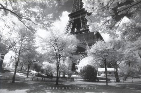 Afternoon in Paris Poster showcasing a vibrant cityscape