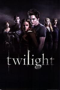 Twilight Group Poster Print - 22x34 Rolled Poster