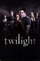 Twilight Group Poster Print - 22x34 Rolled Poster