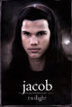 Twilight - Jacob Rolled Poster Print - 22x34