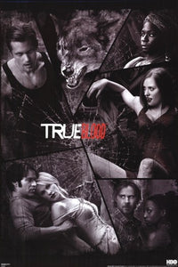 True Blood - Shattered Mirror Rolled Poster Print (22x34)