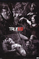 True Blood - Shattered Mirror Rolled Poster Print (22x34)