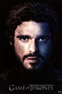 Game of Thrones Season 3 Robb Stark Poster Print - 22x34