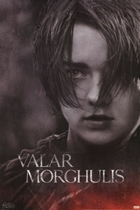 Game of Thrones - Arya Stark Season 4 Poster Print