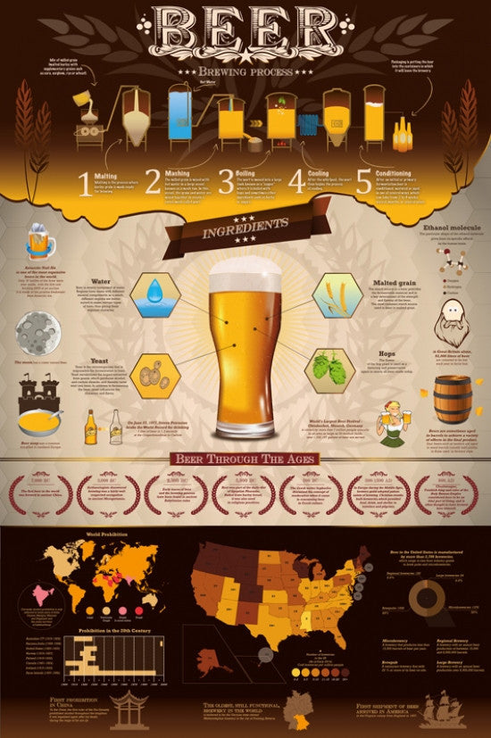 Beer Brewing Process Poster Print - 22x34