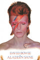 David Bowie Aladdin Sane Poster Print - 24x36 Rolled Art