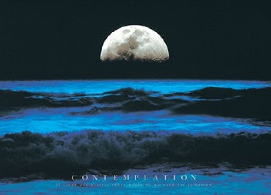 Contemplation Poster Print - Rolled Artwork 34x22