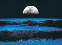 Contemplation Poster Print - Rolled Artwork 34x22
