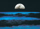 Contemplation Poster Print - Rolled Artwork 34x22