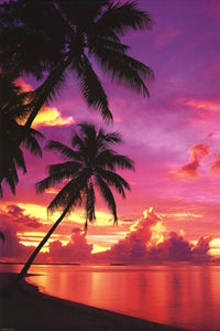Vibrant Tahitian Sunset Poster Print showcasing tropical colors