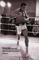 Ali - Fast Rolled Poster Print | Perfect for Home or Office