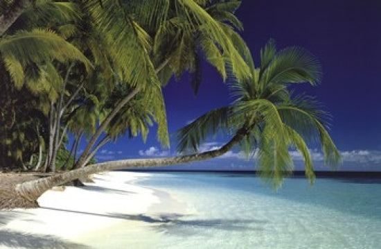 Maldives Beach Poster showcasing tropical landscape art.