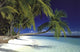 Maldives Beach Poster showcasing tropical landscape art.