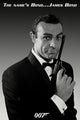James Bond - The Name's Bond Poster Print (24x36)
