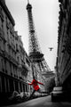 La Veste Rouge Poster Print - 22x34 Rolled Art Print
