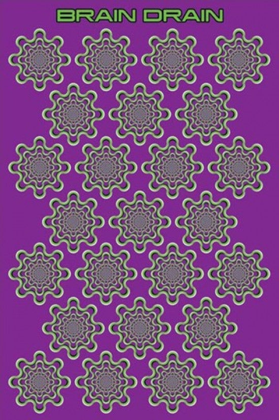 Brain Drain Rolled Poster Print - 24x36