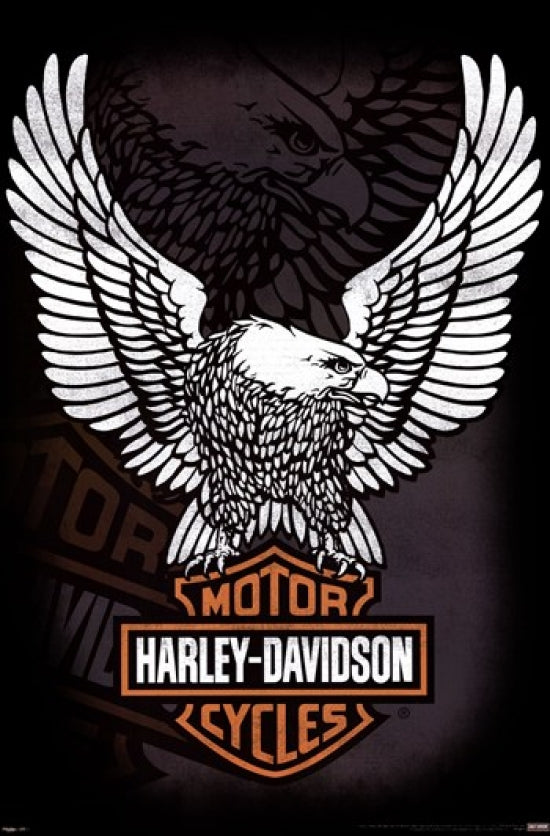 Harley Davidson Eagle Poster showcasing vintage motorcycle art.