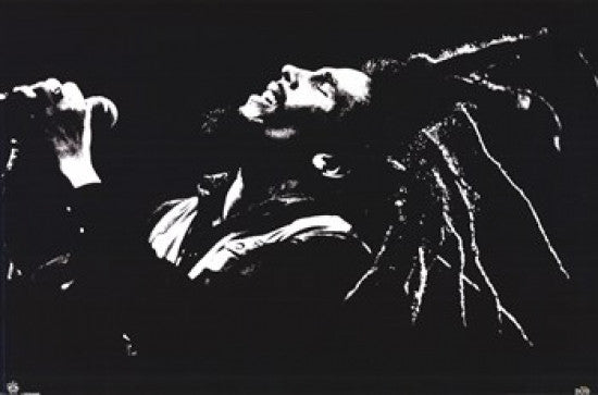 Bob Marley Black & White Hair Poster Print - 34x22