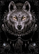 Spiral - Wolf Dreams Rolled Poster Print (24x36)
