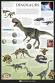 Dinosaurs Dorling Kindersley Eyewitness Wallcharts Poster 36 x 24