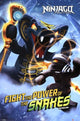 Lego Ninjago Power of Snakes Poster Print - 24x36