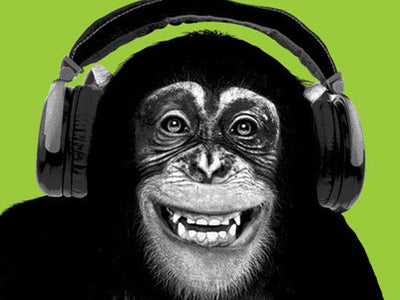 Chimp Art