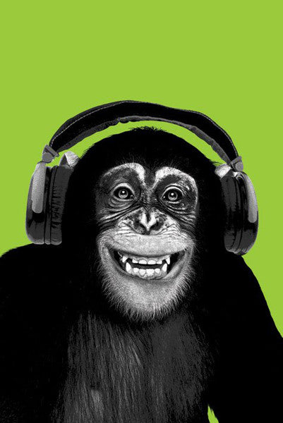 Chimpanzee Headphones Rolled Poster Print - 22x34