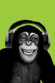 Chimpanzee Headphones Rolled Poster Print - 22x34