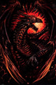 Spiral - Dragon Furnace Poster Print - 24x36