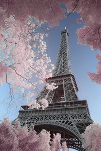 Eiffel Tower Infrared - Paris Rolled Poster Print