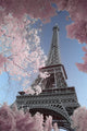 Eiffel Tower Infrared - Paris Rolled Poster Print