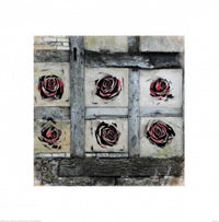 Rose Wall Poster Print featuring a beautiful arrangement of roses.