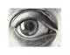 Eye Poster Print by M.C. Escher - Rolled Art Print