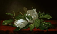 http://c328301.r1.cf1.rackcdn.com/SAL11581036.jpg