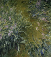 The Path Through the Irises art print by Claude Monet, vibrant colors on heavy stock paper.