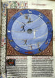 Zodiac Symbols Manuscripts Poster Print showcasing intricate astrological designs.