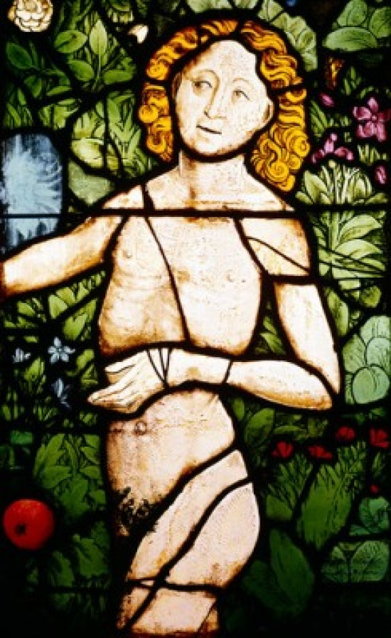 Adam in Paradise stained glass poster print from Strasbourg, France