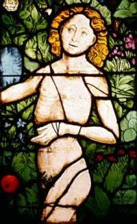 Adam in Paradise stained glass poster print from Strasbourg, France