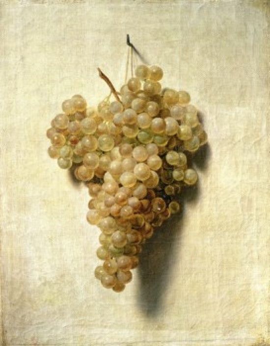 White Grapes poster print by Louis Leopold Boilly