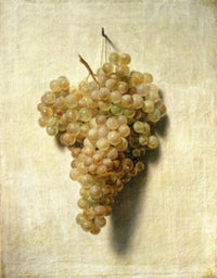 White Grapes poster print by Louis Leopold Boilly