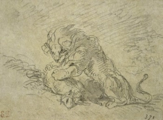 Lion Consuming a Sheep Drawing by Eugene Delacroix