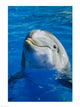 http://c328301.r1.cf1.rackcdn.com/SAL181X2534B.jpg