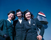 Portrait of three female cabin crew members standing near an airplane against a blue sky.