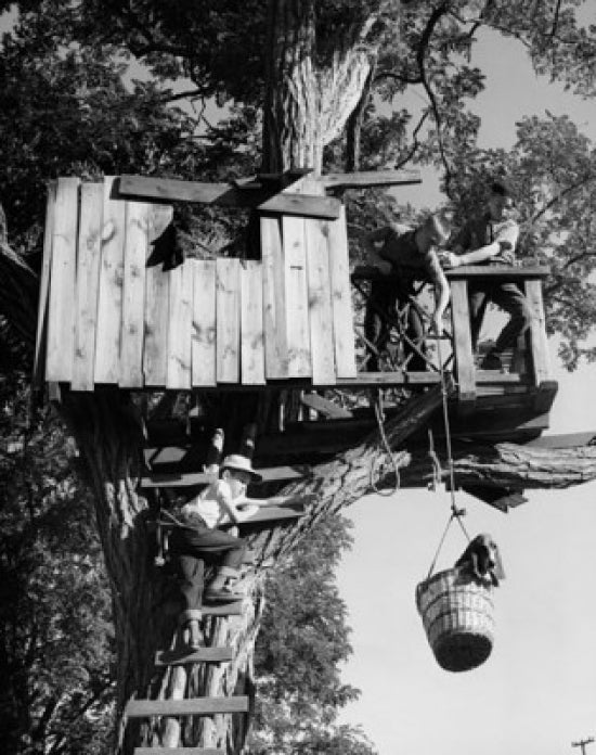 Children playing in a tree house poster print, low angle view.