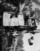 Children playing in a tree house poster print, low angle view.