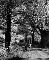 Poster print of two boys walking on a dirt road, evoking nostalgia and childhood adventure.