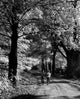 Poster print of two boys walking on a dirt road, evoking nostalgia and childhood adventure.