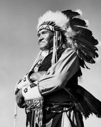 Winnebago Man Poster Print standing with arms crossed