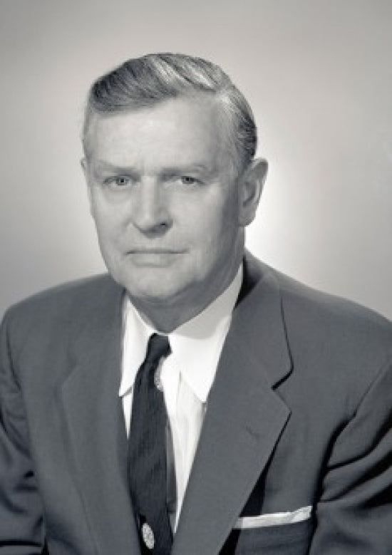 Portrait of Serious Businessman Poster Print on premium paper.